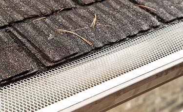 Gutter Protection