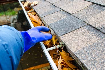Gutter Cleaning 