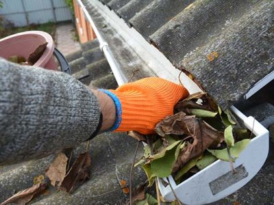 Professional Gutter Cleaning Replacement Services