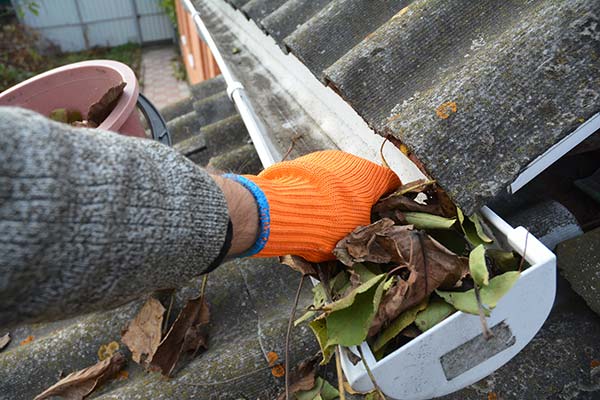 Professional Gutter Cleaning Replacement Services
